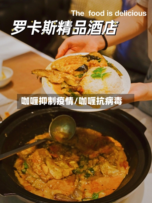 咖喱抑制疫情/咖喱抗病毒-第2张图片