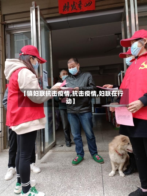 【镇妇联抗击疫情,抗击疫情,妇联在行动】