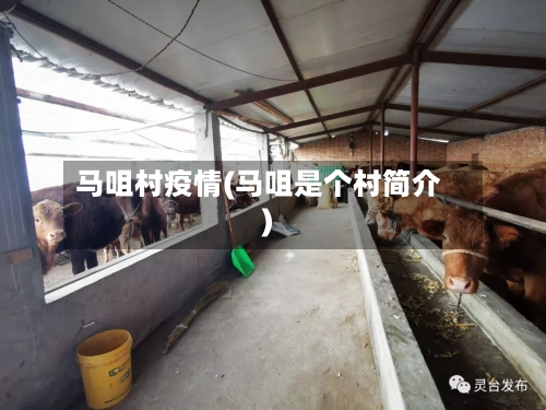 马咀村疫情(马咀是个村简介)